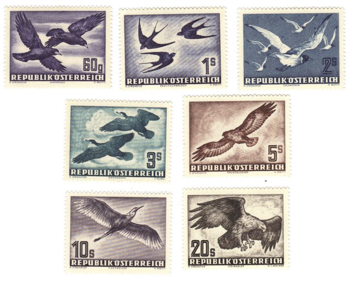 Click to view full-size image in new window.